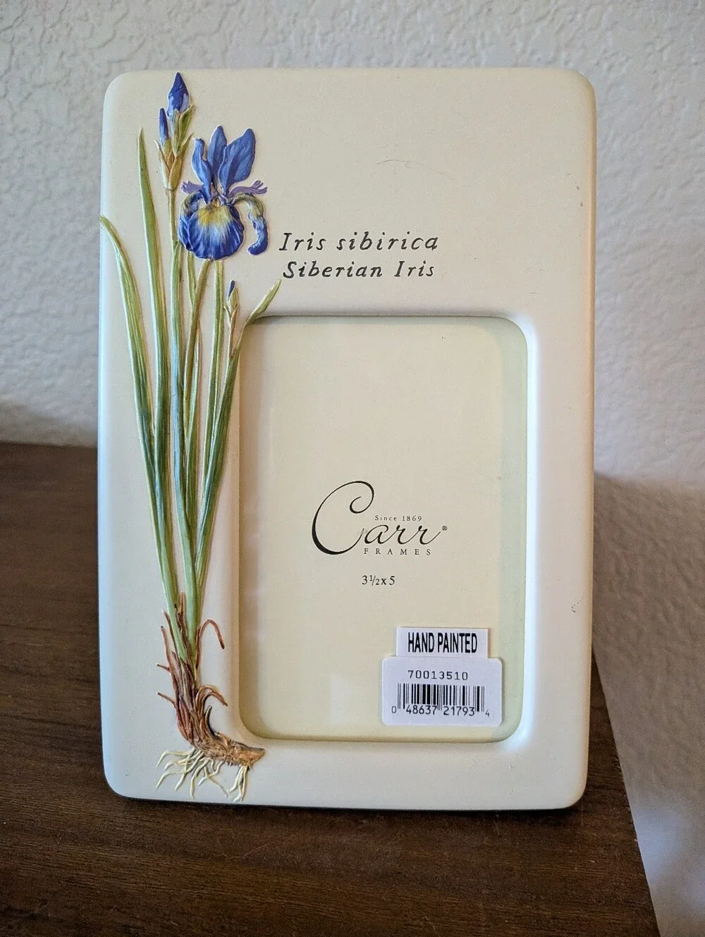 Carr Frames Botanical Garden Iris Floral Picture